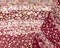 Red-Multi Poly Stripe Floral Print Yoryu Chiffon Woven Fabric By the Yard